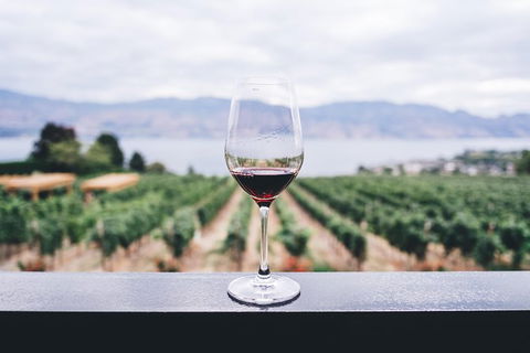 Full-Day Gourmet Wine Tour With Pick Up And Lunch - Maitland Accommodation 1