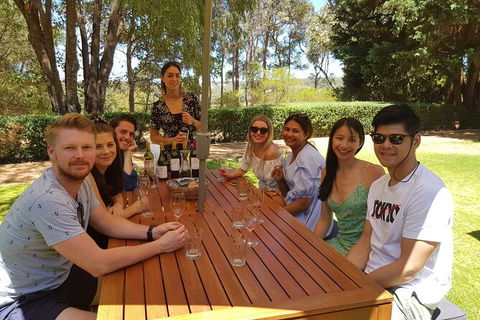Full-Day Gourmet Wine Tour With Pick Up And Lunch - Maitland Accommodation 5