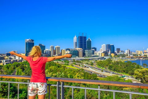 Full-Day Gourmet Wine Tour With Pick Up And Lunch - Maitland Accommodation 2