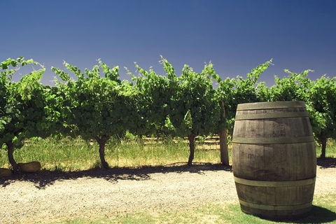 Pinnacles Desert Private Tour - Maitland Accommodation 4