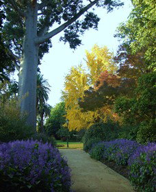 Albury Botanic Garden - Maitland Accommodation 0