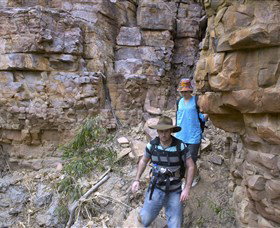 Butterfly Gorge Nature Park - Maitland Accommodation 0