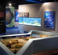 Marine and Freshwater Discovery Centre - Maitland Accommodation