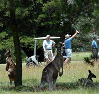 Glen Innes Golf Club - Maitland Accommodation