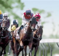 Colac Turf Club - Maitland Accommodation