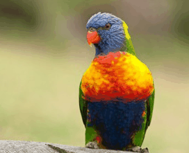 Booderee National Park - thumb 1