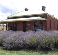 Lavender House in Railway Park - Maitland Accommodation