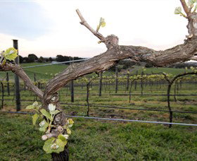 Drysdale VIC Maitland Accommodation