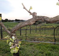 Nalbra Estate Wines - Maitland Accommodation