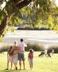 Yanchep National Park - Bushwalking Trails - Maitland Accommodation 0