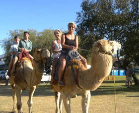 Calamunnda Camel Farm - Maitland Accommodation 0
