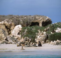 Jurien Bay Marine Park - Maitland Accommodation