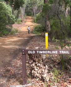 Nannup WA Maitland Accommodation