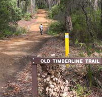 Old Timberline and Sidings Rail Trails - Maitland Accommodation