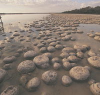 Lake Clifton Thrombolites - Maitland Accommodation