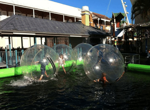 Aussie Waterballs - Maitland Accommodation