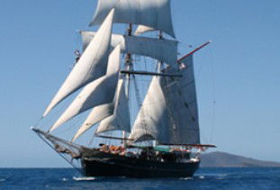 Australian Tallship Cruises - Maitland Accommodation 0