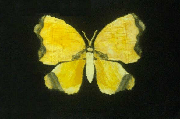 Ashworths - Maitland Accommodation 0