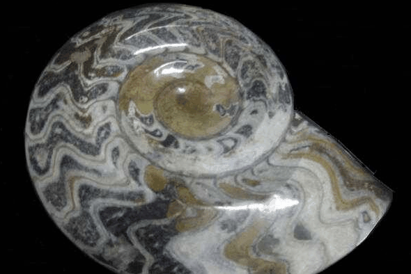 Ashworths - Maitland Accommodation 2