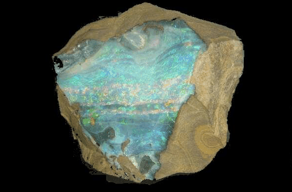 Ashworths - Maitland Accommodation 4