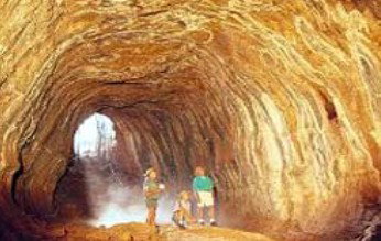 Undara Experience - Maitland Accommodation 1