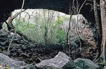 Undara Experience - Maitland Accommodation 2