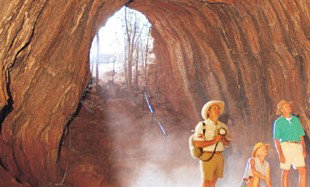 Undara Experience - Maitland Accommodation 3