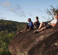 Cooktown Aboriginal Art Tours - Maitland Accommodation