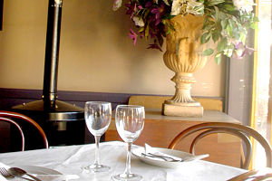 Chilli Pedes - Maitland Accommodation 0