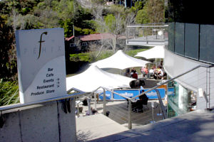Fenix - Maitland Accommodation 0