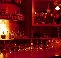 The Night Cat - Maitland Accommodation