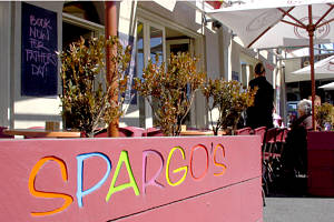 Spargos - Maitland Accommodation 0