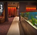 AB Hotel - Maitland Accommodation