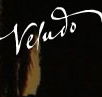 Veludo - Maitland Accommodation