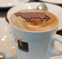 Brown Cow - Maitland Accommodation