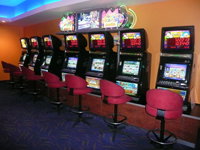 Swell Tavern - Maitland Accommodation 1