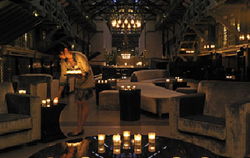 Ovolo Woolloomooloo - Maitland Accommodation 2