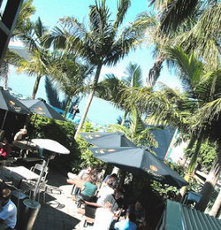 Duck & Swan Hotel - Maitland Accommodation 3