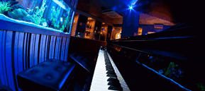Saks Restaurant & Bar - Maitland Accommodation 2
