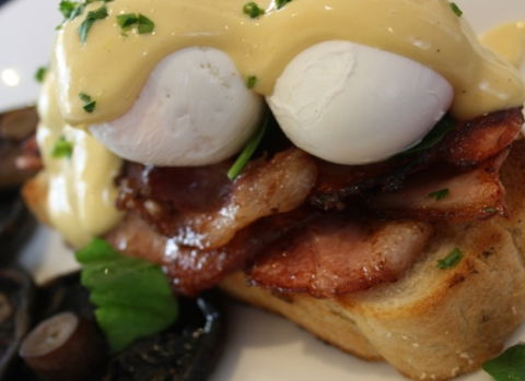Raphael's On Brighton - Maitland Accommodation 2