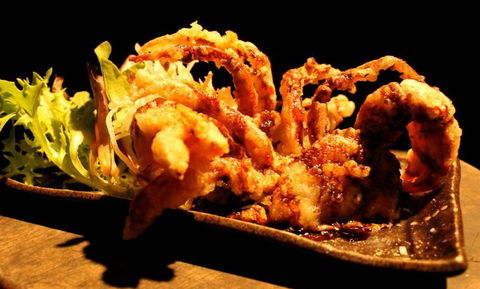 O'Sushi Japanese Restaurant - Maitland Accommodation 3