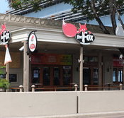 The Fox Ale House - Maitland Accommodation