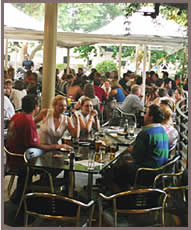 The Commodore Hotel - Maitland Accommodation 0