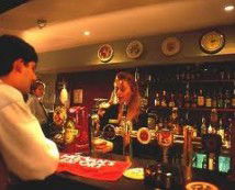Criterion Hotel - Oak & Ivy Cellar Bar - Maitland Accommodation 0