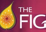 Naked Fig - Maitland Accommodation 0