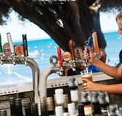 Quokka Arms - Maitland Accommodation