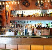 Safari Cocktail Bar - Maitland Accommodation