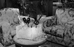 The Club - Maitland Accommodation 1