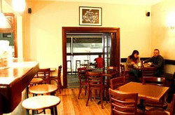 Jovanotti - Maitland Accommodation 1