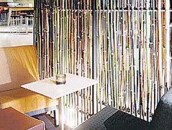 Llama Bar - Maitland Accommodation 2